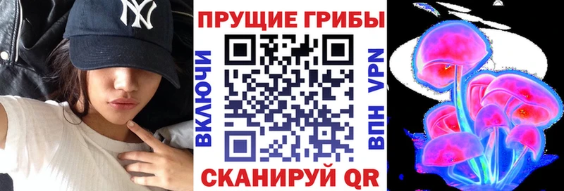 где можно купить наркотик  Бирюсинск  блэк спрут   Псилоцибиновые грибы Psilocybine cubensis 