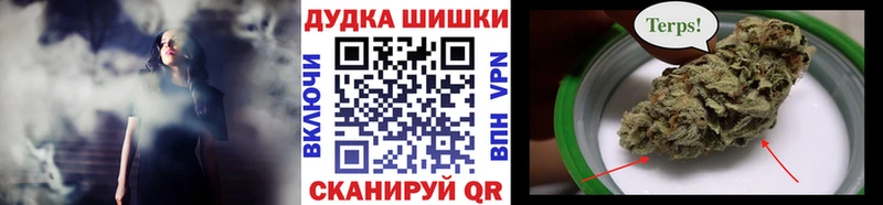 Бошки Шишки сатива Бирюсинск